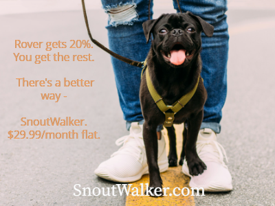 Sophie's Dog Walking