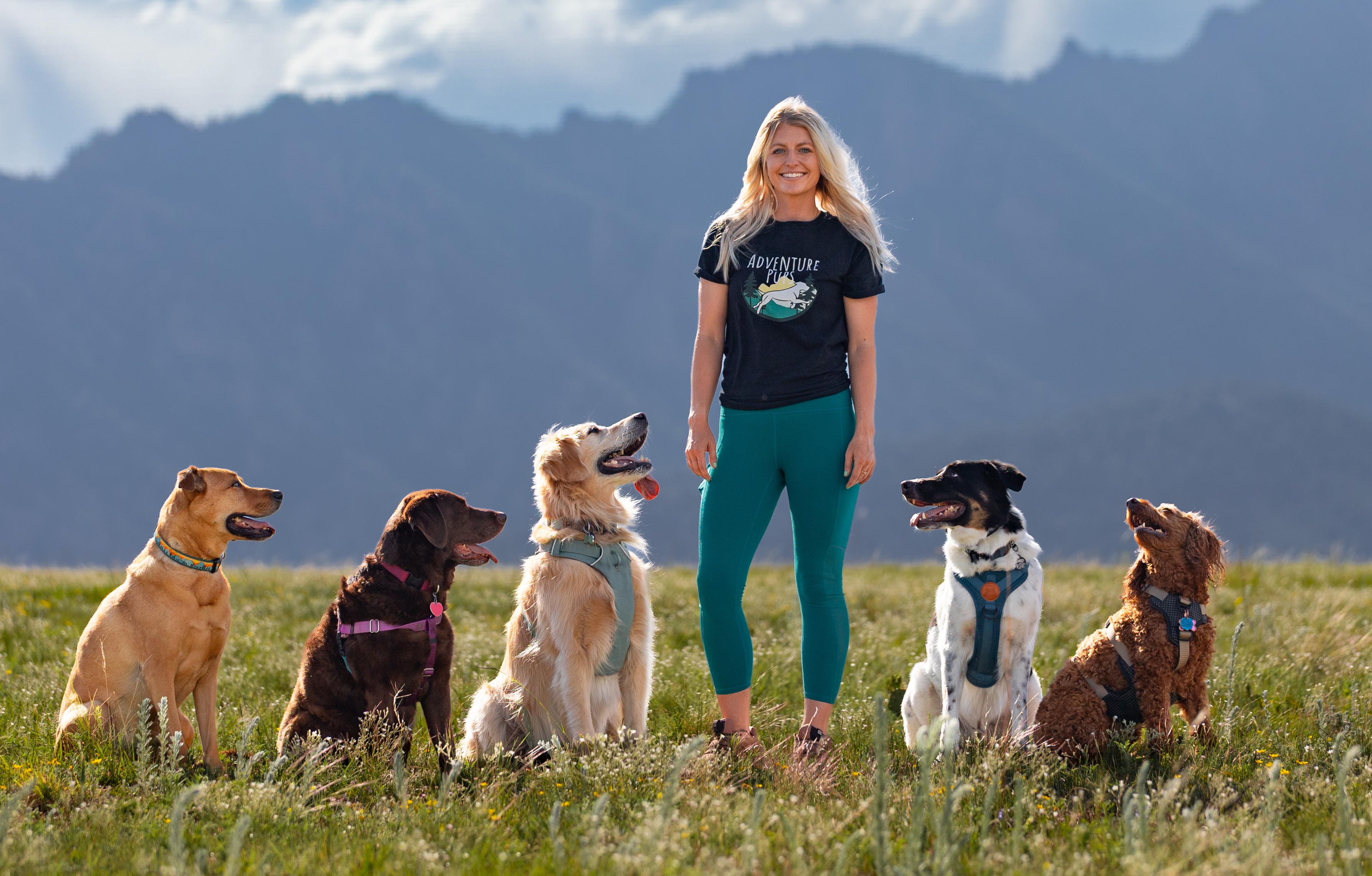 Adventure Pups LLC
