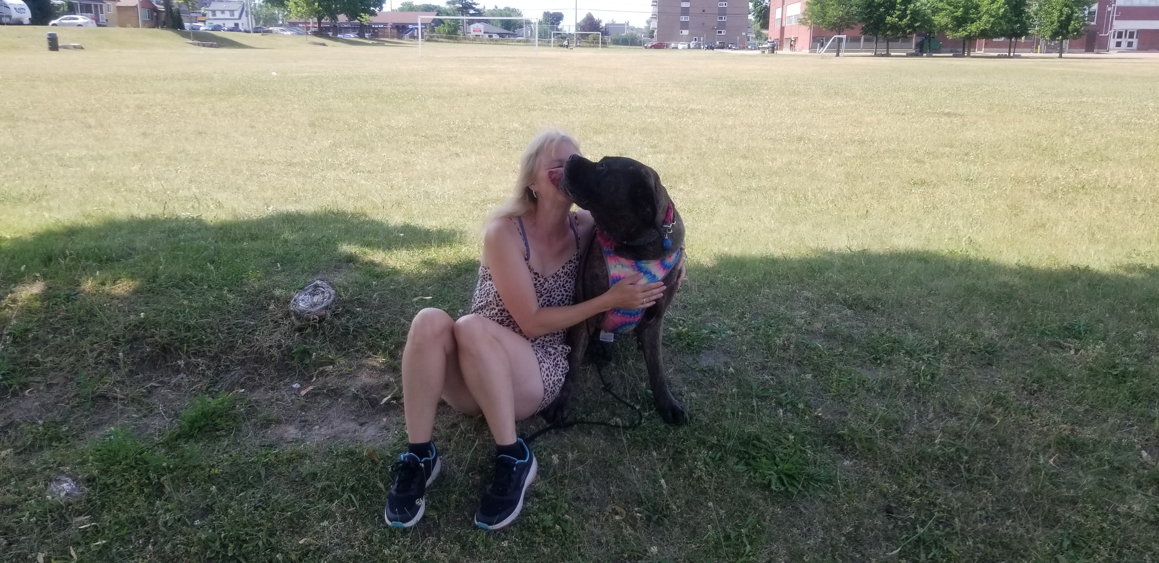 Whiskers and Wags