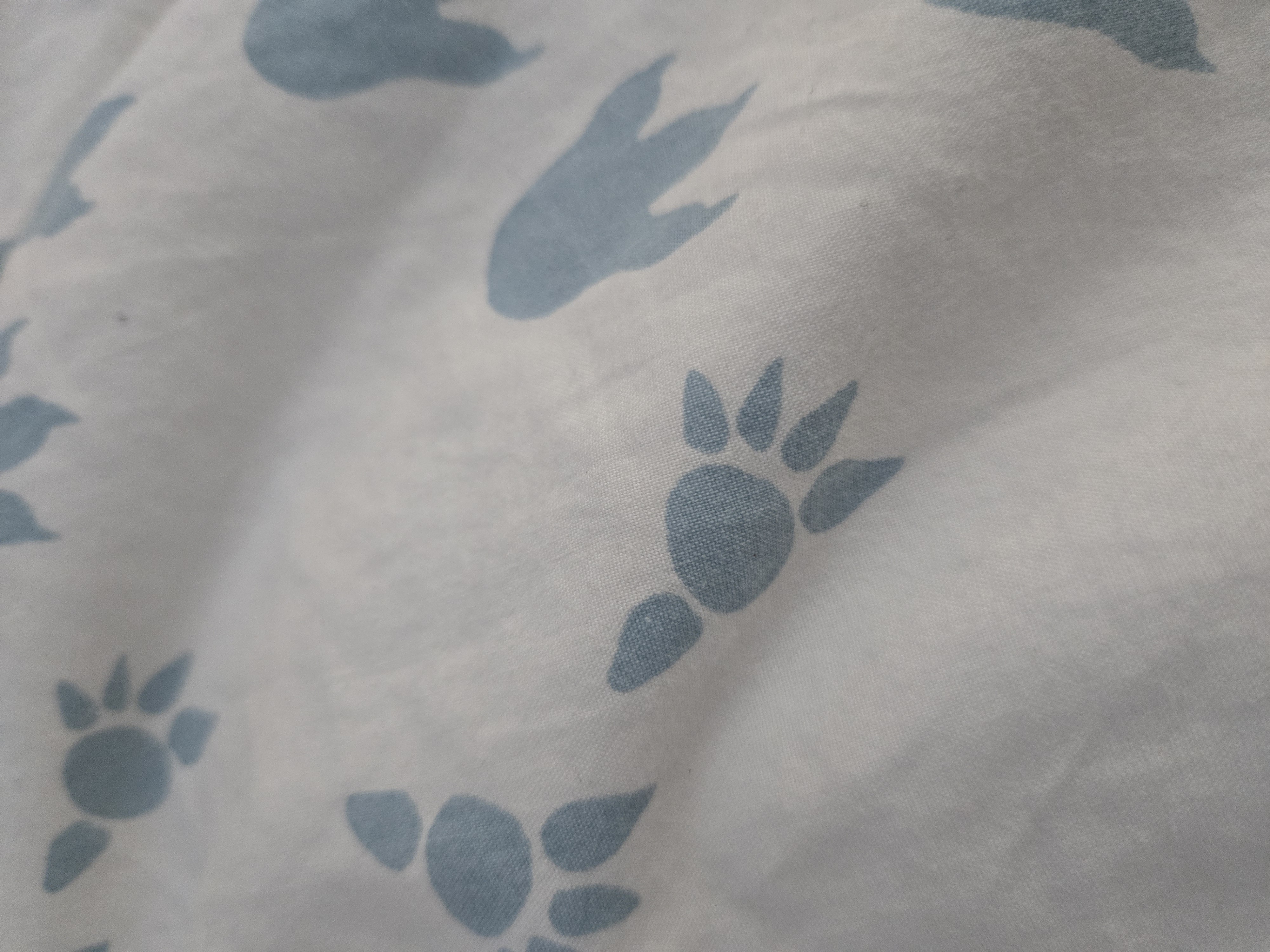 Khatuna's Dog Walking