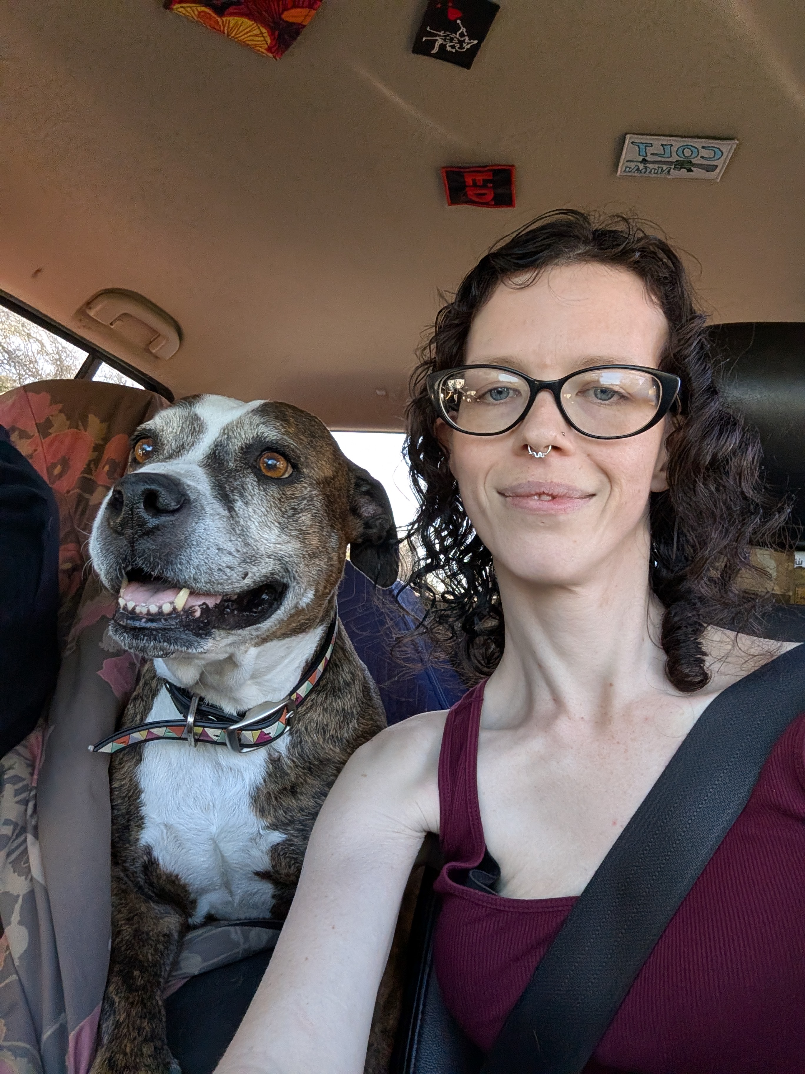 Alyssa's Dog Walking