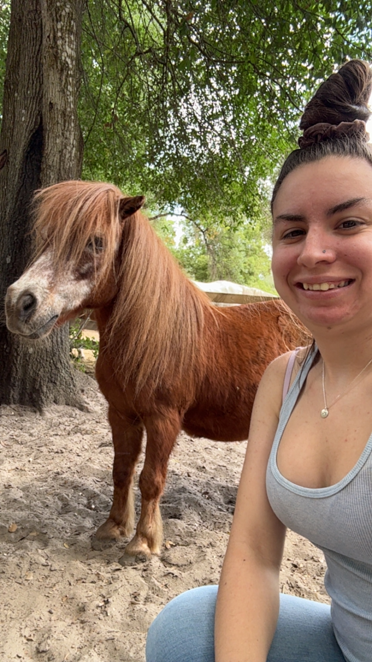 Hailey's Dog Walking