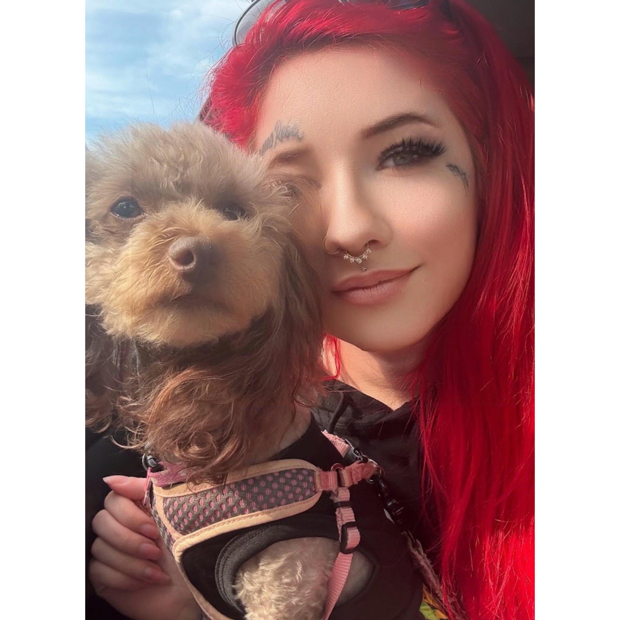 Christina’s Pet Care Services