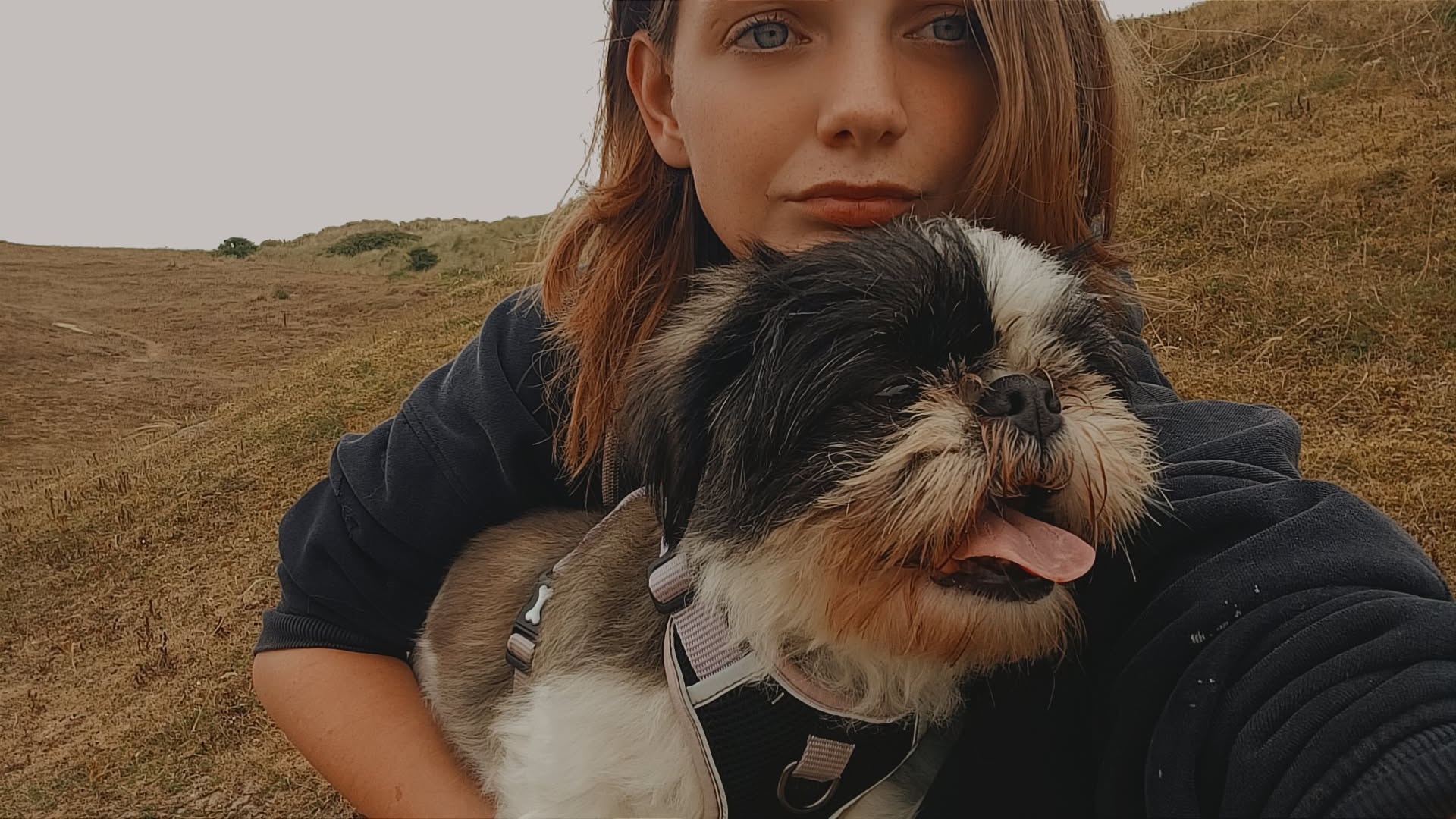 Poppy happy paws